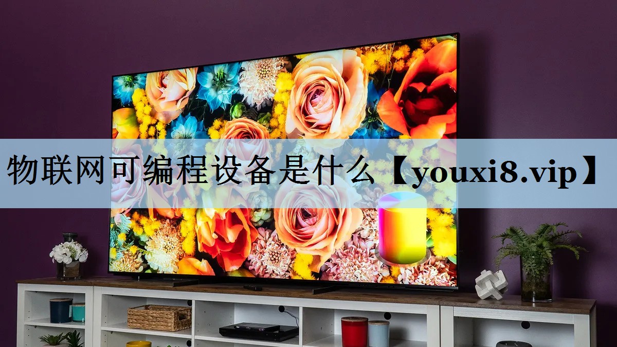 物联网可编程设备是什么