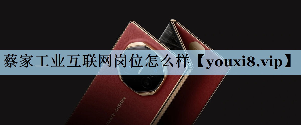 蔡家工业互联网岗位怎么样