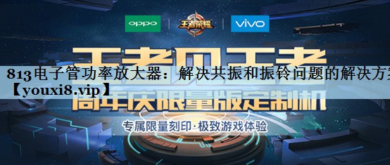 813电子管功率放大器：解决共振和振铃问题的解决方案