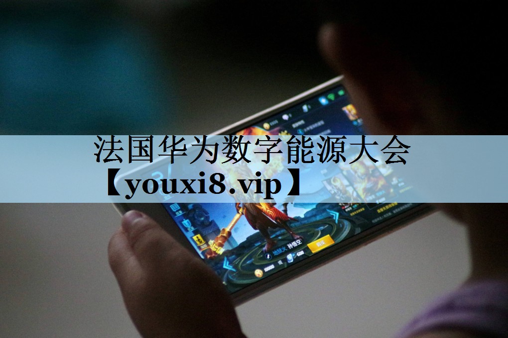 法国华为数字能源大会