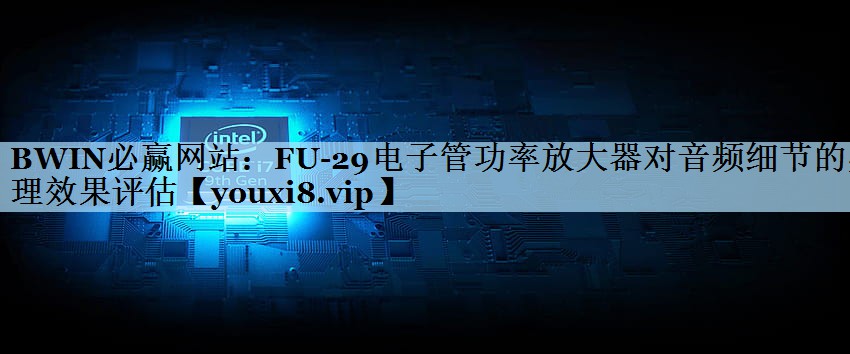 FU-29电子管功率放大器对音频细节的处理效果评估