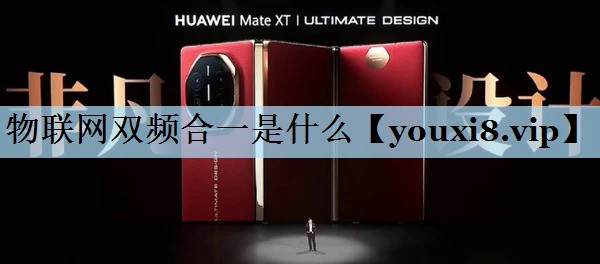 物联网双频合一是什么 物联网双频合一是什么