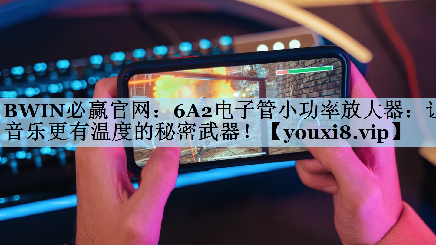 6A2电子管小功率放大器：让音乐更有温度的秘密武器！
