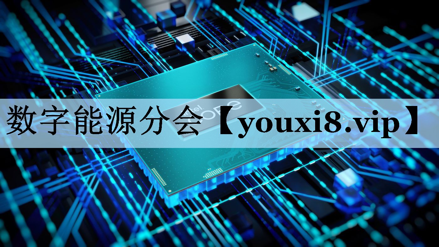 数字能源分会 数字能源分会