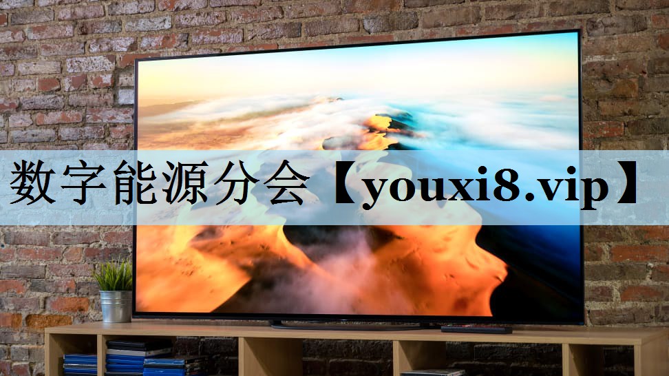 数字能源分会 数字能源分会