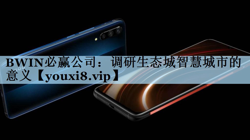 调研生态城智慧城市的意义 调研生态城智慧城市的意义